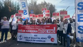 SES'ten Sağlık Bakanlığı'na 'ücretsiz kuduz aşısı' çağrısı