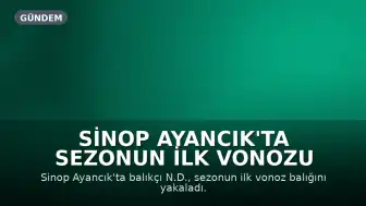 Sinop Ayancık'ta Sezonun İlk Vonozu Yakalandı