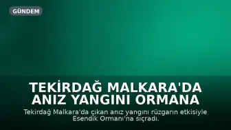 Tekirdağ Malkara'da Anız Yangını Ormana Sıçradı: 3 Saatte Kontrol Altına Alındı