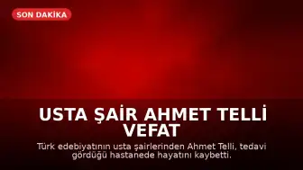 Usta Şair Ahmet Telli Vefat Etti