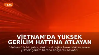 Vietnam'da Yüksek Gerilim Hattına Atlayan Şahıs Hayatını Kaybetti