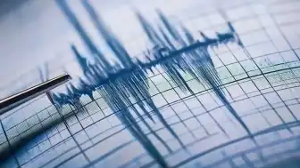 Yeni Zelanda'da Şiddetli Deprem: Tsunami Uyarısı Yapıldı