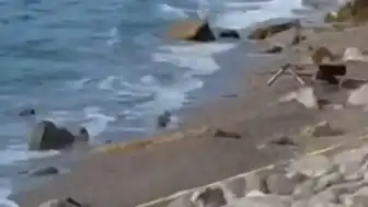 Zonguldak Filyos Sahili'nde Askeri İHA Bulundu: Geniş Güvenlik Önlemi Alındı