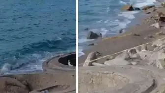 Zonguldak Filyos Sahili'nde Askeri Olduğu Değerlendirilen İHA Bulundu