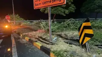 Zonguldak'ta Trafik Kazası: 5 Yaralı