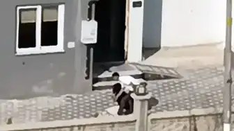 Adana'da Kadına Şiddet Uygulayan Şüpheli O.Ö., Adli Kontrolle Serbest Bırakıldı
