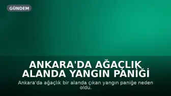 Ankara'da Ağaçlık Alanda Yangın Paniği