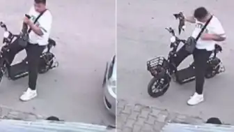 Bolu'da Yavru Kedi Katliamı: Güvenlik Kamerası Kaydetti