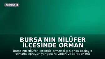 Bursa'nın Nilüfer İlçesinde Orman Yangınına Müdahale Ediliyor