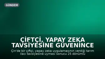 Çiftçi, Yapay Zeka Tavsiyesine Güvenince 25 Dönümlük Mahsulünü Kaybetti