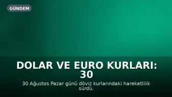 Dolar ve Euro Kurları: 30 Ağustos Pazar Güncel Durum