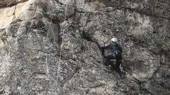 Fuji Dağı'nda Pes Dedirten Olay: Baba, 7 Yaşındaki Oğlunu Tek Başına Bıraktı