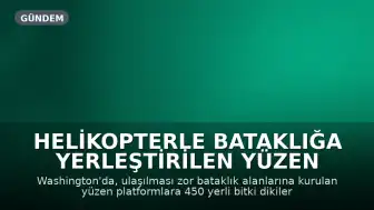 Helikopterle Bataklığa Yerleştirilen Yüzen Platformlara 450 Yerli Bitki Dikildi