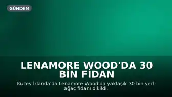 Lenamore Wood'da 30 Bin Fidan Dikildi, Yeni Ormanın Oluşumu 100 Yıl Sürecek