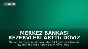 Merkez Bankası Rezervleri Arttı: Döviz ve Altın Tutarları Güncellendi