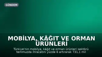 Mobilya, Kâğıt ve Orman Ürünleri Sektöründe İhracat Temmuzda Yüzde 6 Arttı