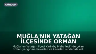 Muğla'nın Yatağan İlçesinde Orman Yangını: Havadan ve Karadan Müdahale Devam Ediyor