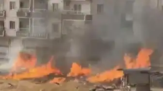 Nusaybin'de Anız Yangını Çalılara Sıçradı
