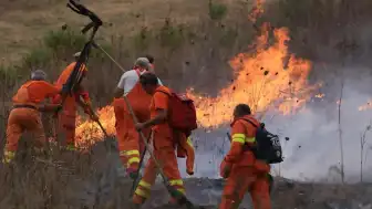 Sicilya ve Sardinya'da Orman Yangınları: 100'den Fazla Kişi Tahliye Edildi