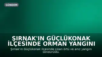 Şırnak'ın Güçlükonak İlçesinde Orman Yangını Söndürüldü