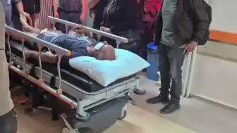 Sivas'ta Ayı Saldırısı: Köpekler Hayat Kurtardı
