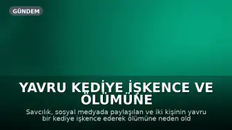 Yavru Kediye İşkence ve Ölümüne Neden Olan 2 Şüpheli Hakkında Gözaltı Kararı