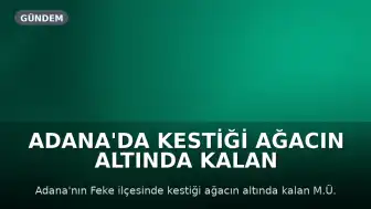 Adana'da Kestiği Ağacın Altında Kalan M.Ü. Hayatını Kaybetti