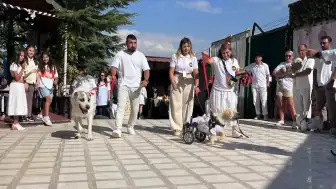 Ankara'da Barınaktan Alınan 19 Köpeğin Tamamı Sahiplendirildi