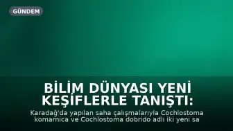 Bilim Dünyası Yeni Keşiflerle Tanıştı: Kendini Tamamen Kapatabilen Salangoz Türleri Belirlendi