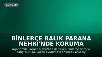 Binlerce Balık Parana Nehri'nde Koruma Altına Alındı: Av Yasağı Sürü Takip Ediyor