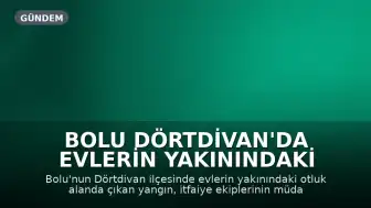 Bolu Dörtdivan'da Evlerin Yakınındaki Otluk Alanda Çıkan Yangın Söndürüldü