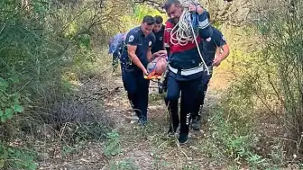 Hatay'ın Defne İlçesinde Ağaçtan Düşen V. Yaralandı