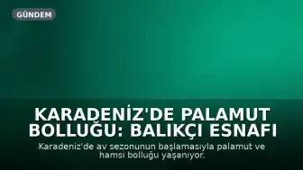Karadeniz'de Palamut Bolluğu: Balıkçı Esnafı ve Tüketicinin Yüzü Gülüyor