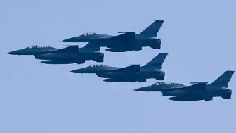 Litvanya'da NATO Alarmına Neden Olan Kuş Sürüsü Çıktı