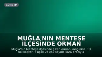 Muğla'nın Menteşe İlçesinde Orman Yangını: Geniş Çaplı Müdahale Başlatıldı