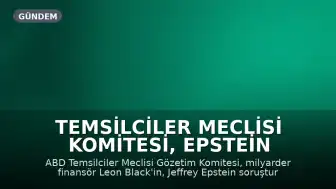 Temsilciler Meclisi Komitesi, Epstein Soruşturması Celpleriyle İlgili Leon Black Hakkında Kongreye İtaatsizlik Tavsiyesinde Bulundu