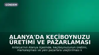 Alanya'da Keçiboynuzu Üretimi ve Pazarlaması Masaya Yatırıldı