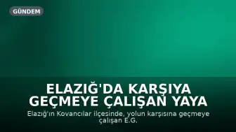 Elazığ'da Karşıya Geçmeye Çalışan Yaya Kamyonun Çarpmasıyla Ağır Yaralandı