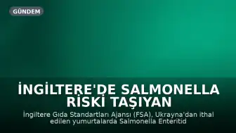 İngiltere'de Salmonella Riski Taşıyan Yumurtalar Toplatılıyor