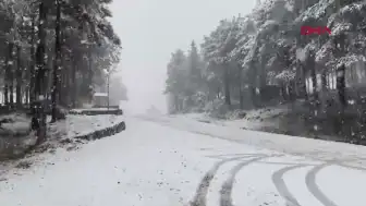 İstanbul'a Kar Yağışı Bekleniyor mu? Meteoroloji Uzmanları Değerlendiriyor
