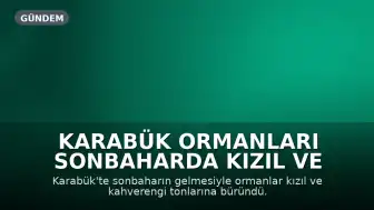 Karabük Ormanları Sonbaharda Kızıl ve Kahverengi Tonlarına Büründü