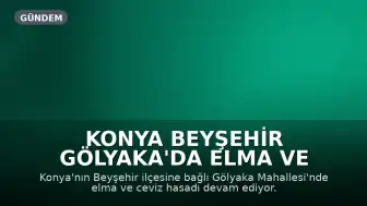 Konya Beyşehir Gölyaka'da Elma ve Ceviz Hasadı Yoğun Şekilde Devam Ediyor