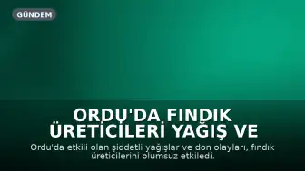 Ordu'da Fındık Üreticileri Yağış ve Düşük Fiyatlar Nedeniyle Zor Durumda