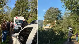 Ordu'da Kan Davası: Anne, Oğlunun Katilinin Annesini Öldürdü