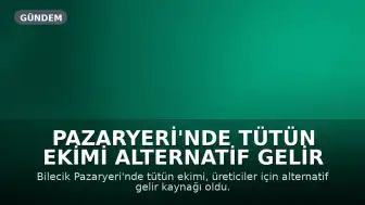 Pazaryeri'nde Tütün Ekimi Alternatif Gelir Kaynağı Oldu: Dönüm Başına 250 Bin TL Kazanç