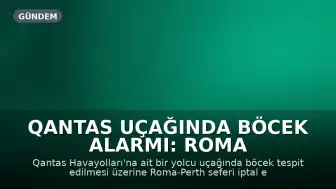 Qantas uçağında böcek alarmı: Roma seferi iptal edildi