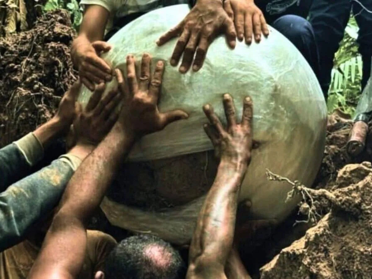 Ormanın derinliklerinde gizemli dev toplar bulundu: Herkes altın çıkacak sandı bakın ne çıktı