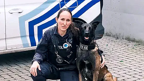 Belçika'da Köpekler İçin Özel Mönü: Ördek Göğsü Filetosu ve Gurme Atıştırmalıklar