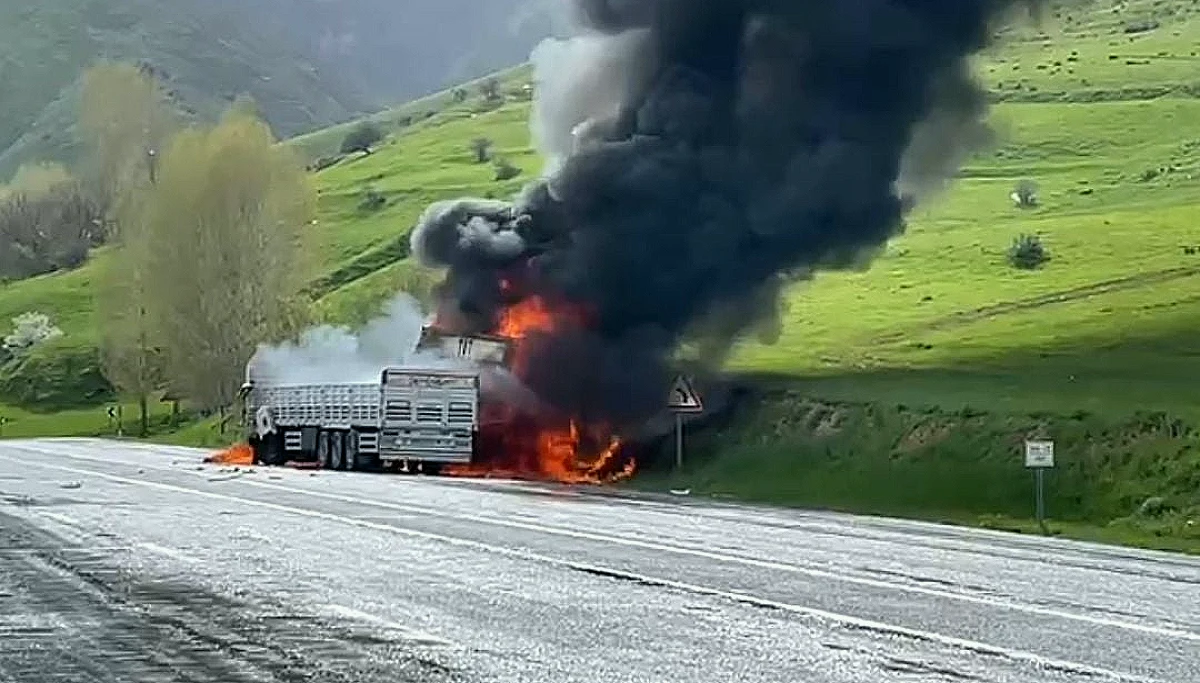 Bitlis'te 2 TIR'ın çarpışması sonucu 2 kişi hayatını kaybetti