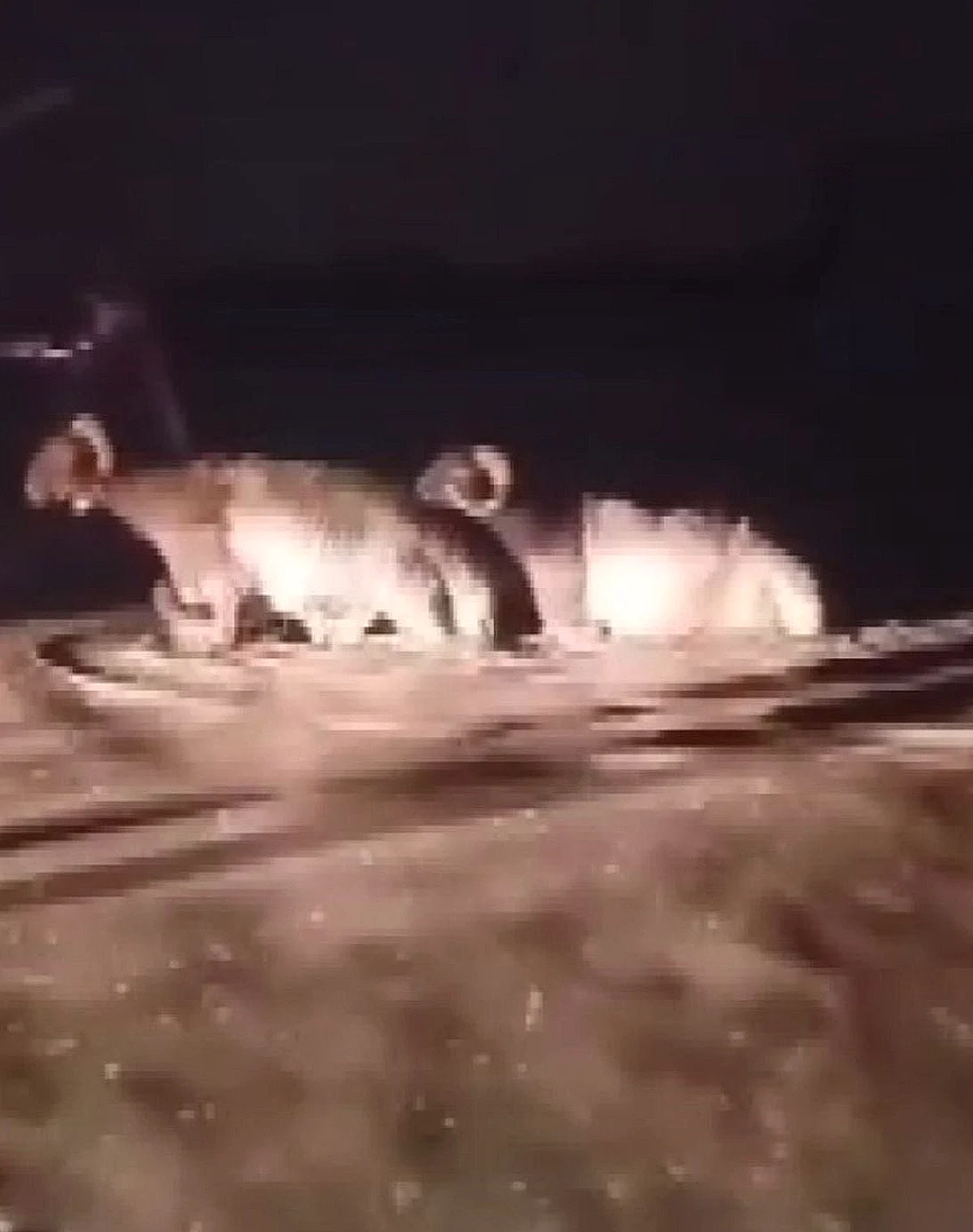Hatay'da Sağanak Hayvan Pazarını Vurdu